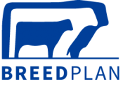 BREEDPLAN WEBINAR